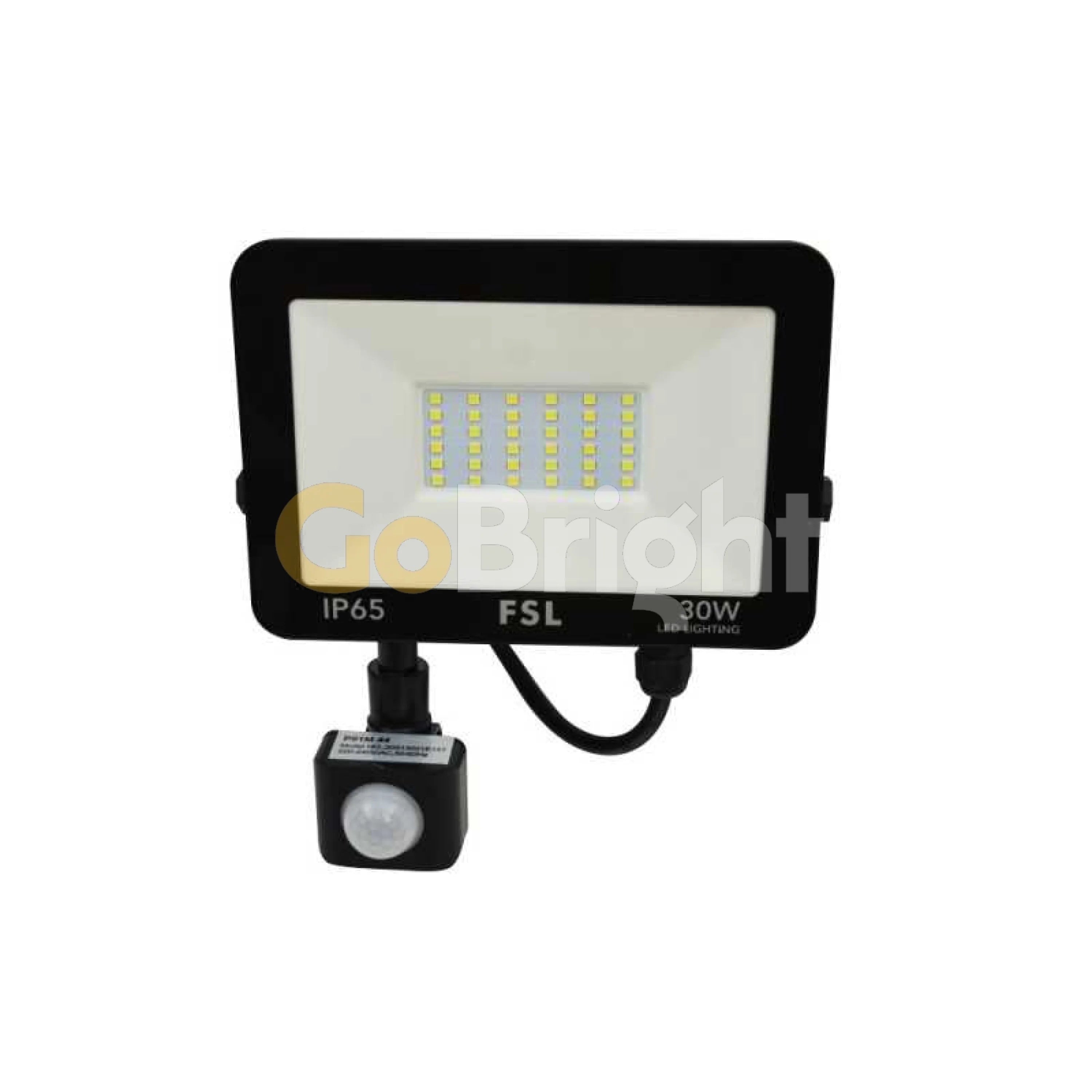 Proiector LED cu Senzor de Miscare Standard 30W 3000LM Lumina Rece 6500K