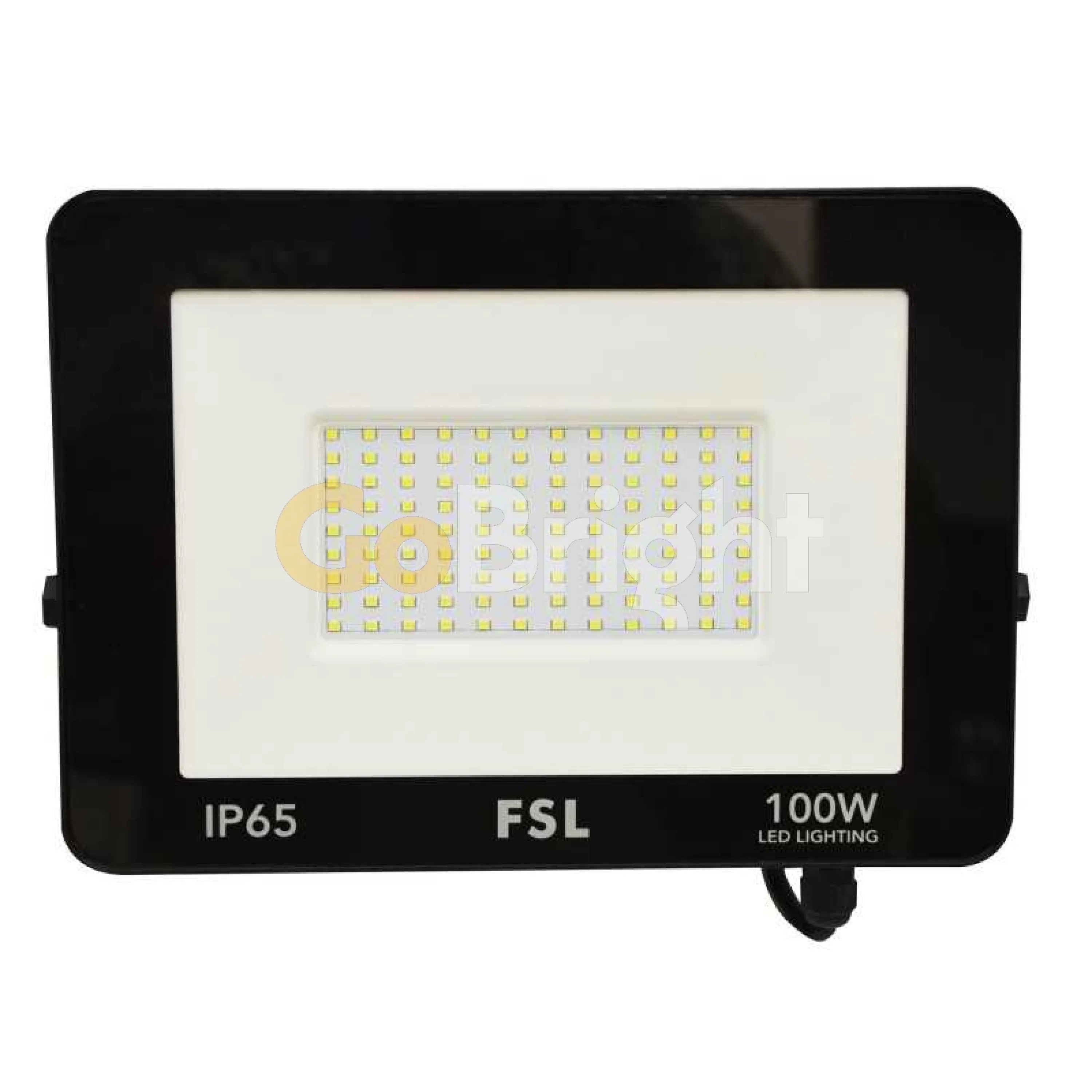 Proiector LED Standard 100W 10000LM Lumina Rece 6500K