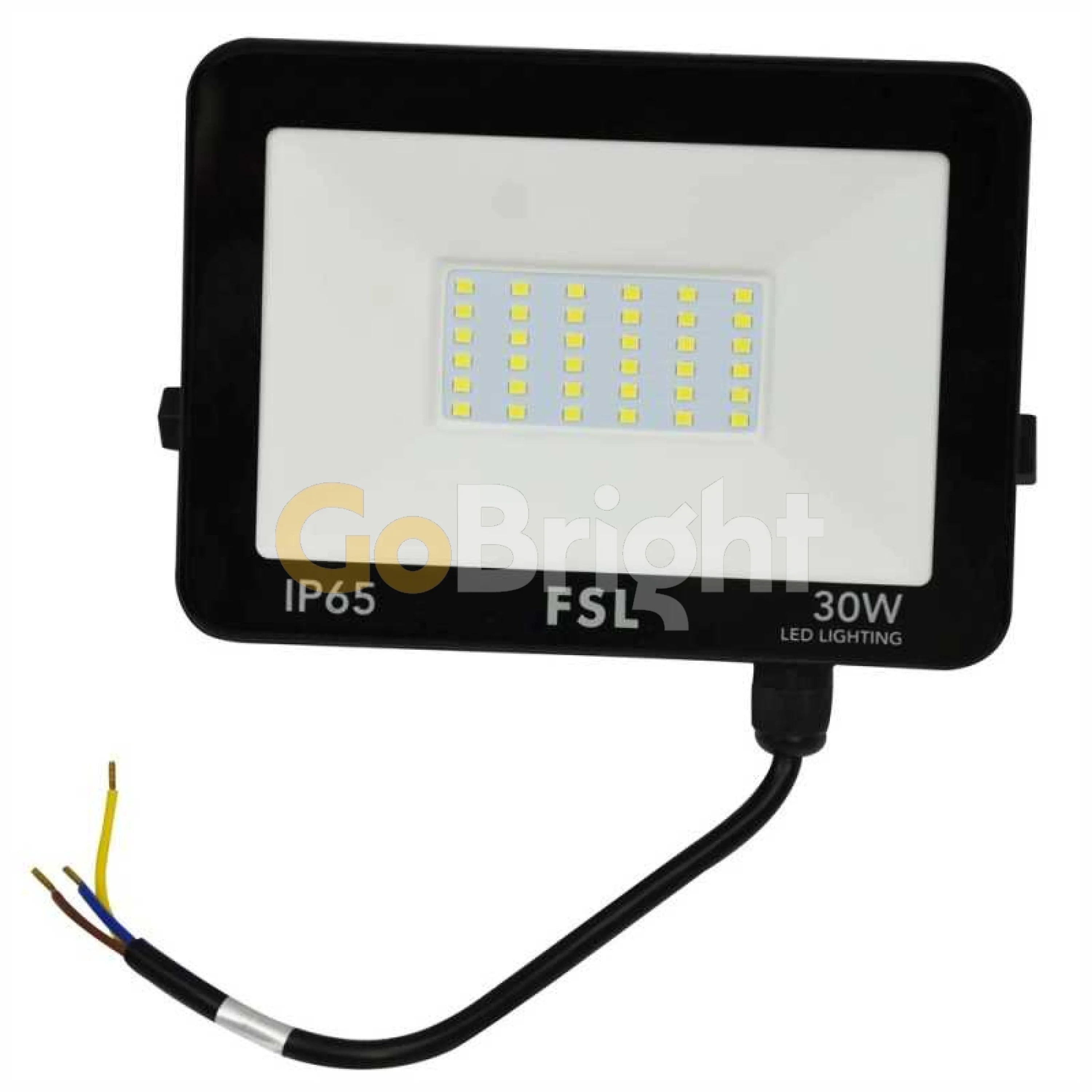 Proiector LED Standard 30W 3000LM Lumina Rece 6500K